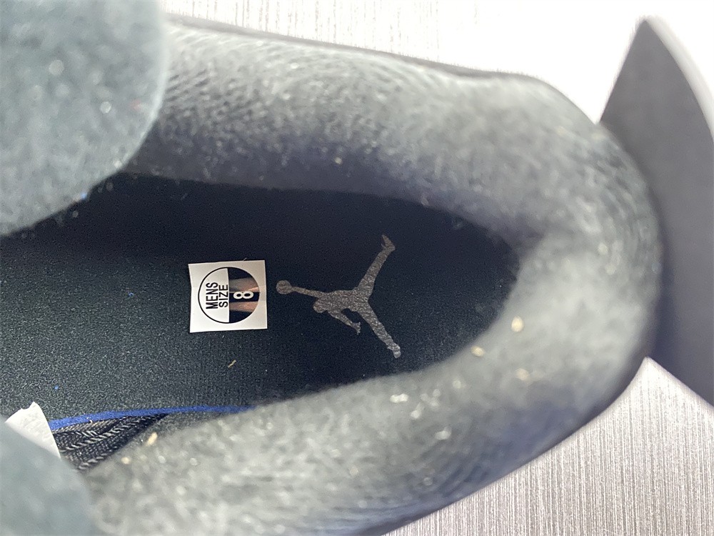 Air Jordan 4 CT8527-018