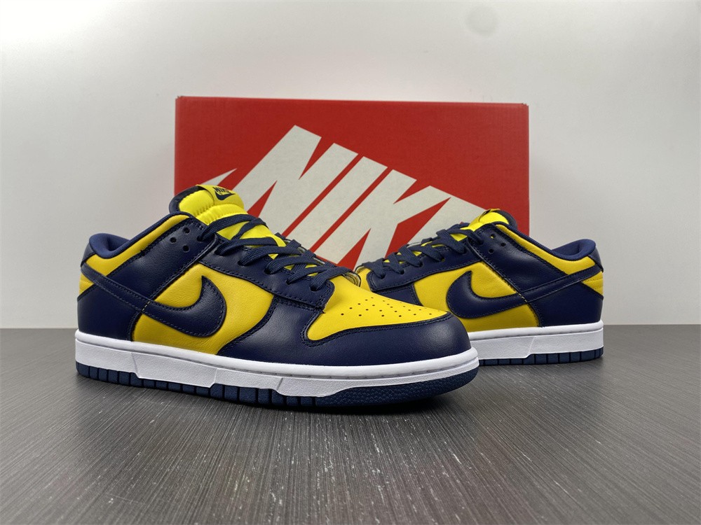 from Nike SB Dunk Low Michigan DD1391-700