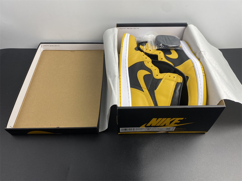 Air Jordan 1 High OG Pollen 555088-701