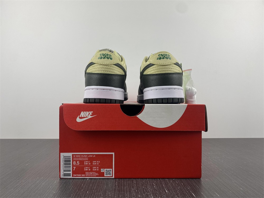 from Nike DUNK LOW LX DM7606 300