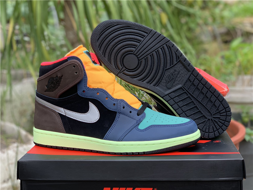 Air Jordan 1 “Bio Hack” 555088-201