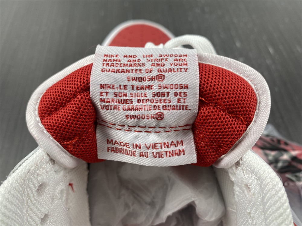 from NIKE DUNK LOW RETRO DD1391-600