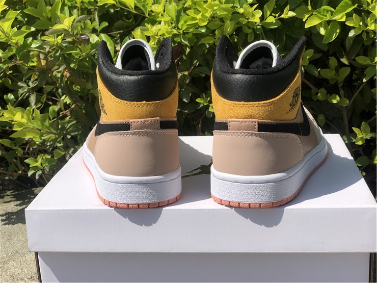 Air Jordan 1 Mid SE DD2224-200