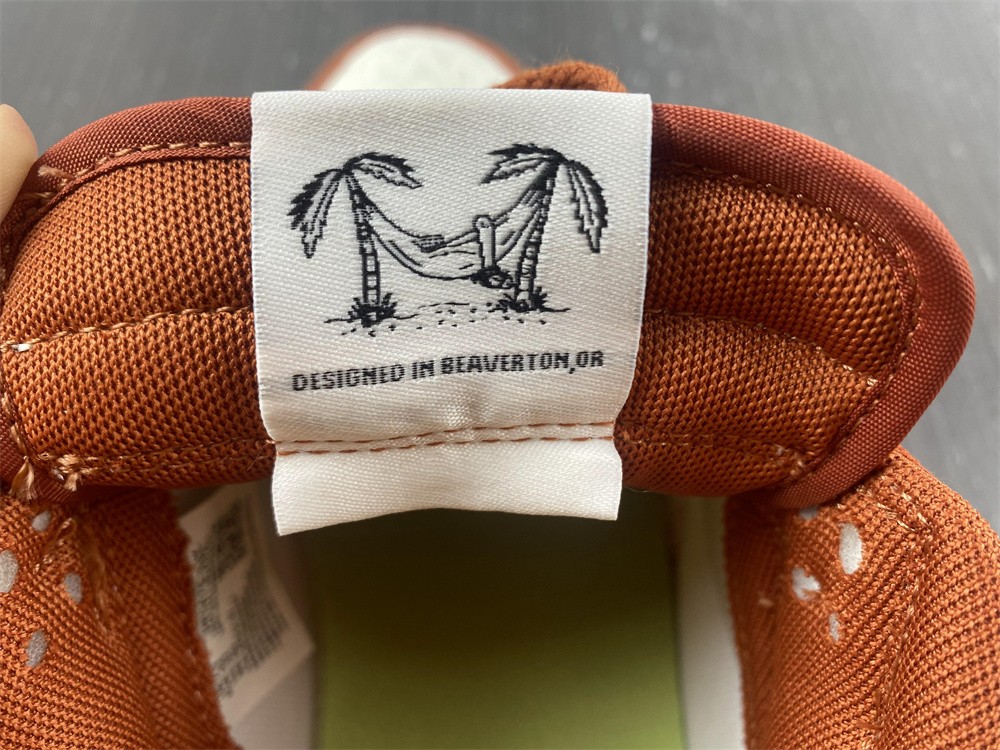 from Nike SB Dunk Low DR5475-100