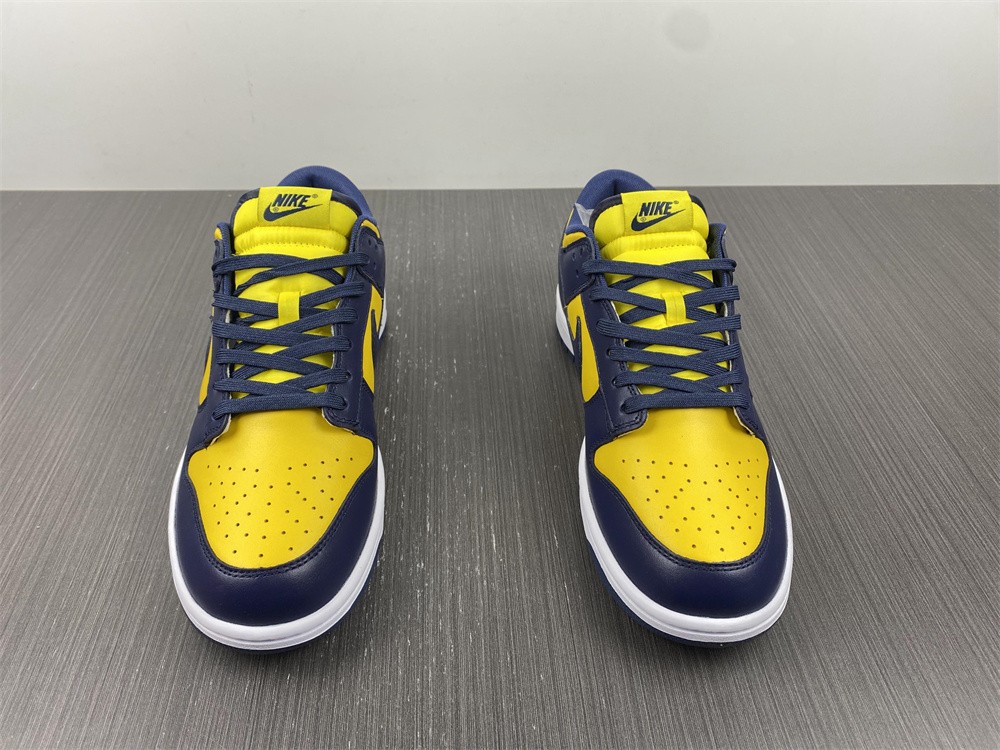 from Nike SB Dunk Low Michigan DD1391-700