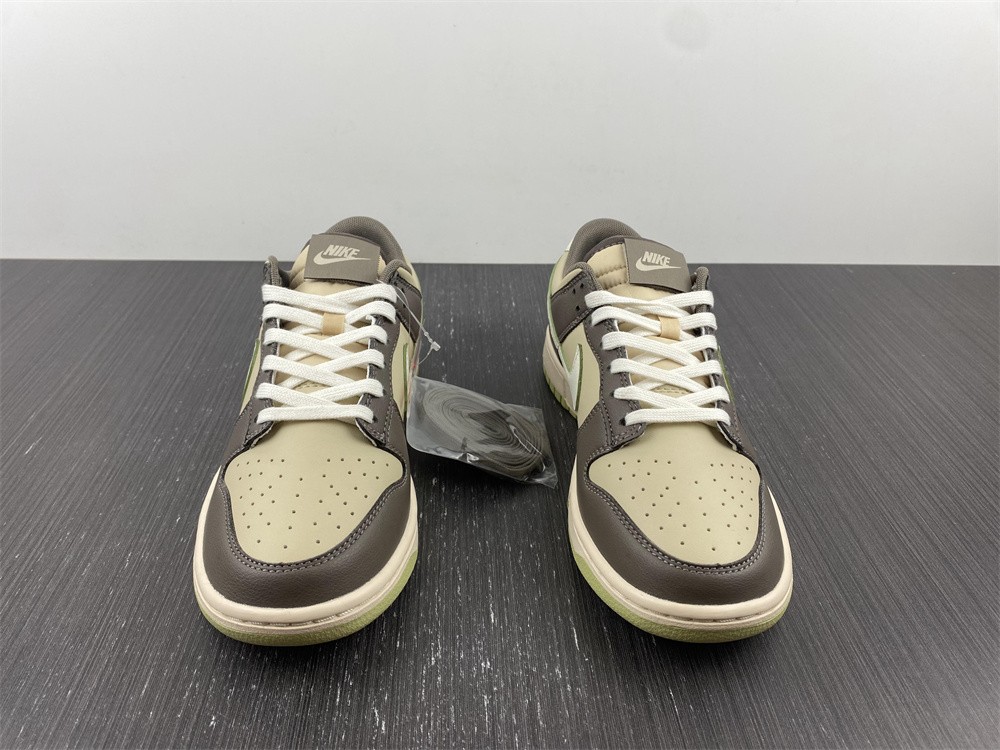 from SB Dunk Low Khaki FB4960-210