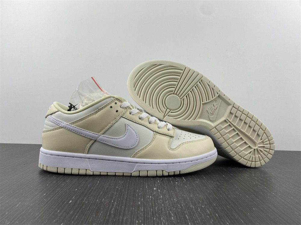 from SB Dunk Low DJ6188-100
