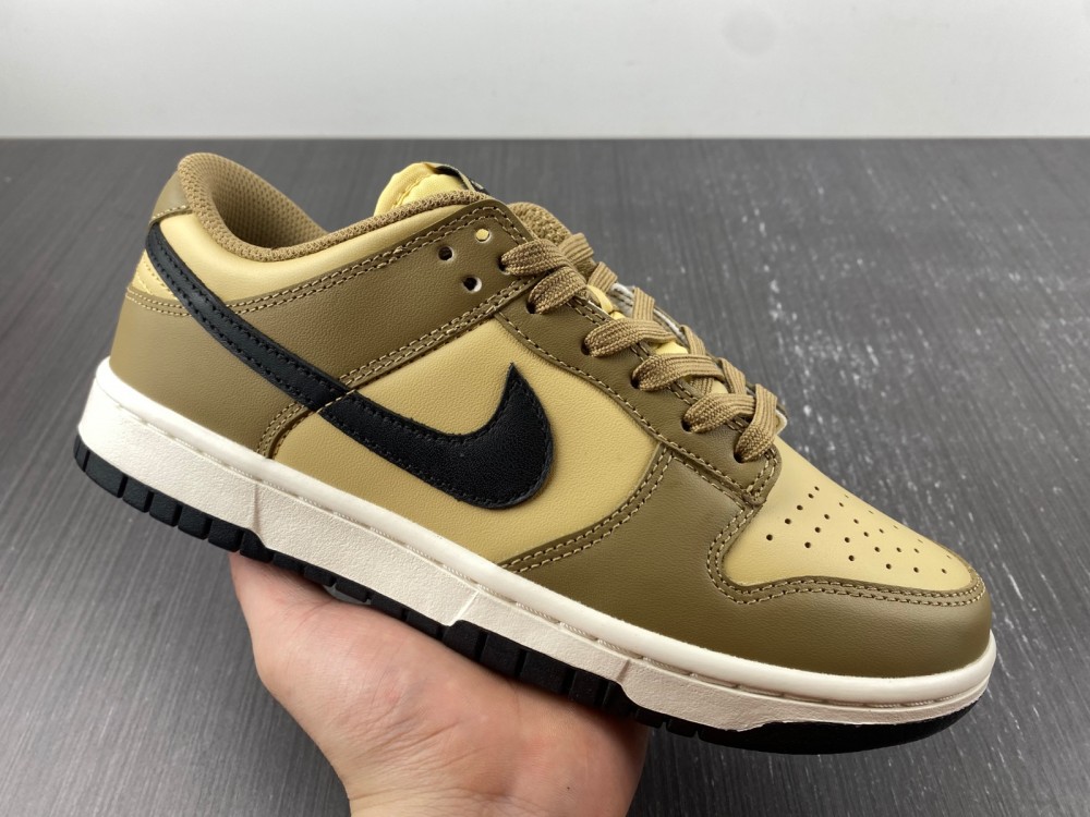 from SB Dunk Low Dark Driftwood DD1503-200