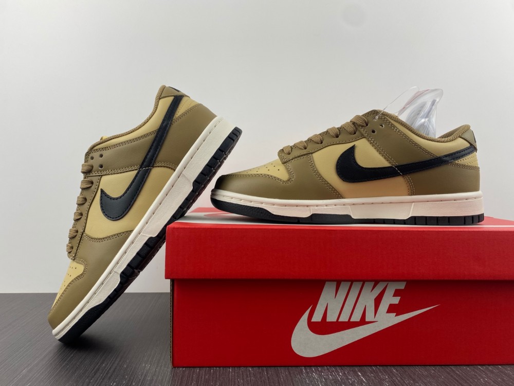 from SB Dunk Low Dark Driftwood DD1503-200