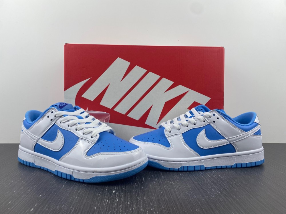from Nike SB Dunk Low DJ9955-101