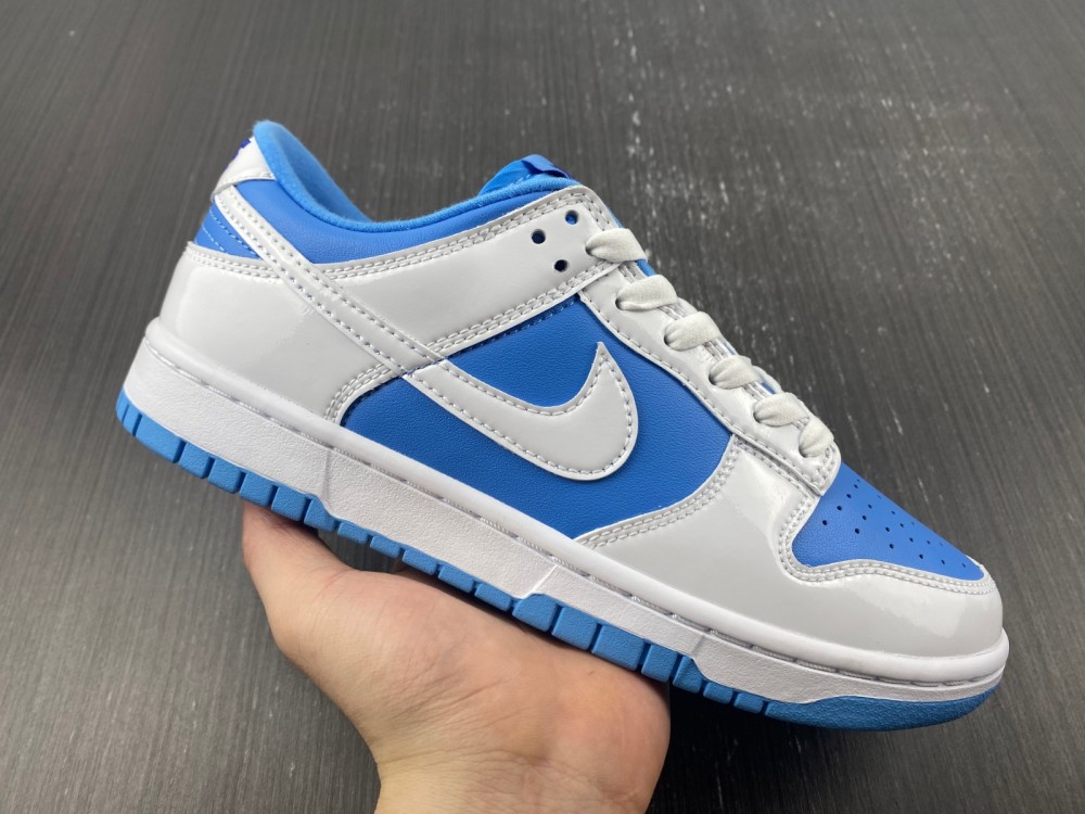 from Nike SB Dunk Low DJ9955-101