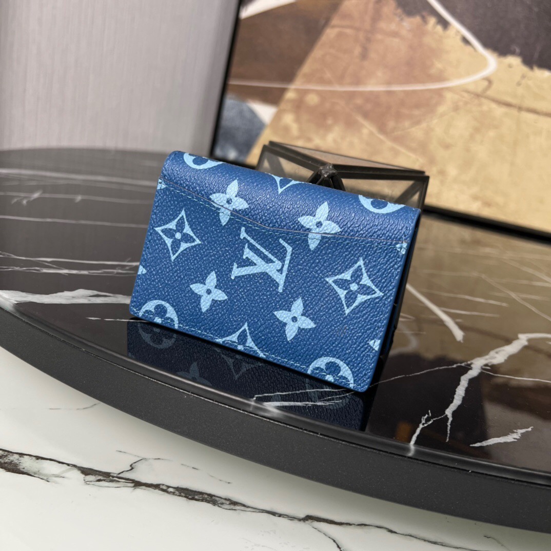 L*ouis V*uitton Top Bag