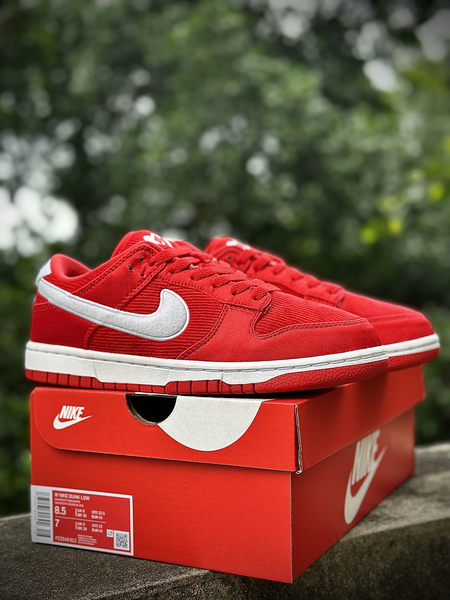 Women Nike SB Dunk Low