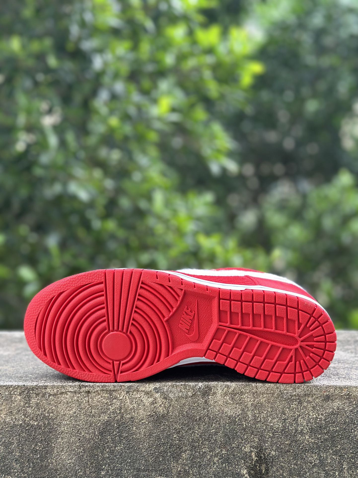 Women Nike SB Dunk Low