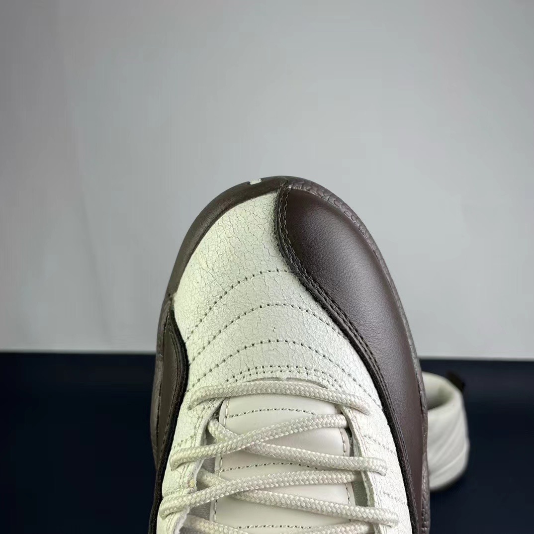 Air Jordan 12